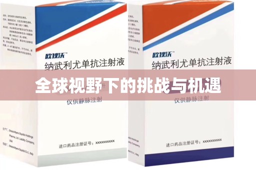 周口全球视野下的挑战与机遇