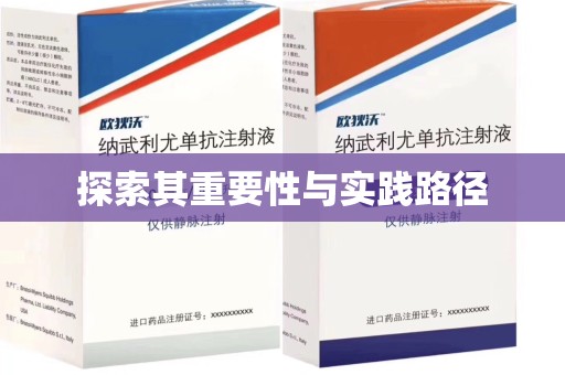周口探索其重要性与实践路径