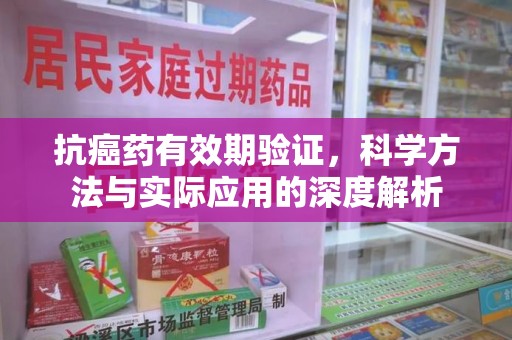 周口抗癌药有效期验证，科学方法与实际应用的深度解析