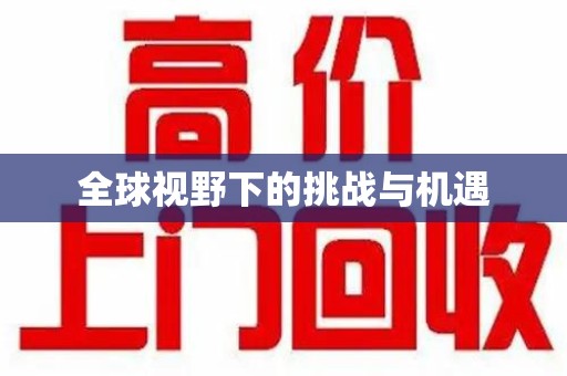 周口全球视野下的挑战与机遇