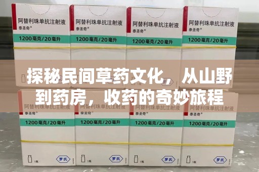 周口探秘民间草药文化，从山野到药房，收药的奇妙旅程